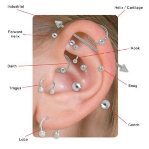 ear piercings diagram