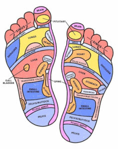 Foot Reflexology Chart, poster and Banner