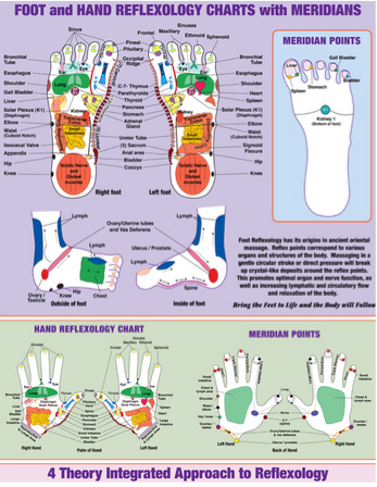 Are There Any Prerequisites For A Reflexology Course?