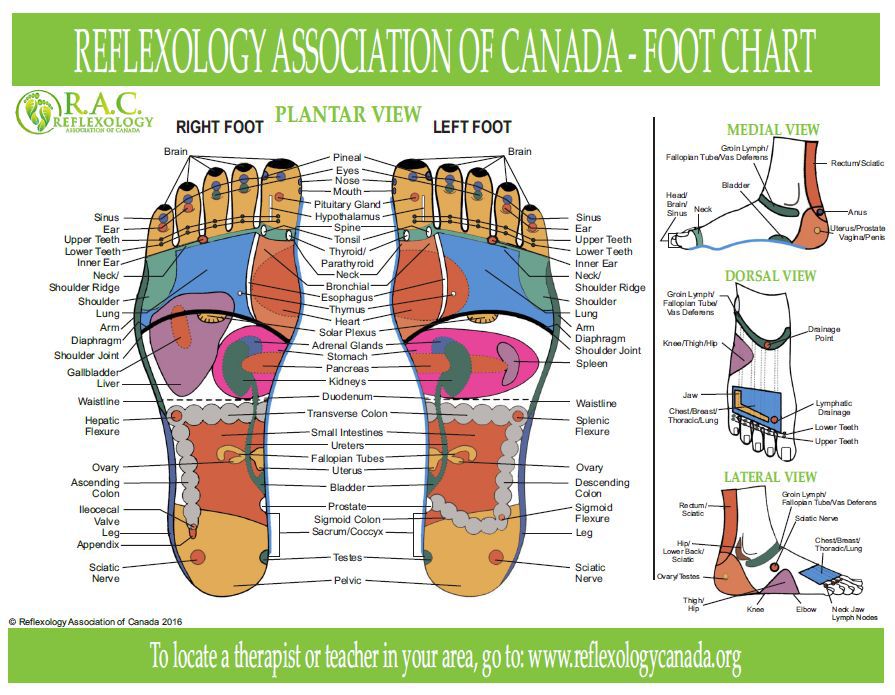 Read more on How Does Reflexology Work?