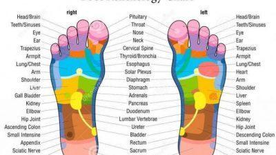 What Can I Expect From An Online Reflexology Course?