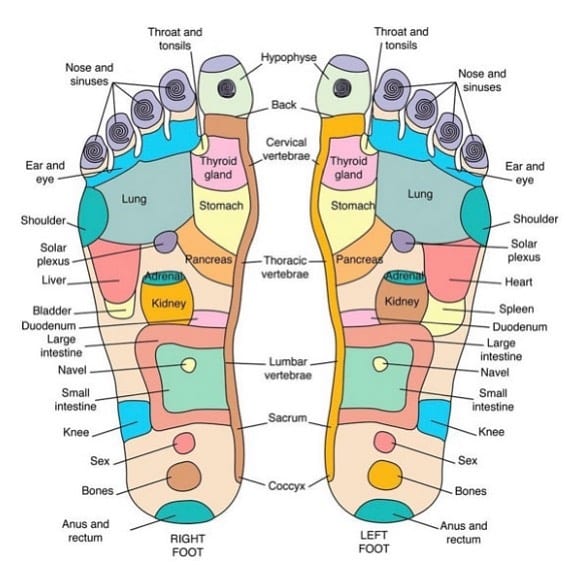 Read more on Reflexology From Home: Jumpstart Your Learning Online