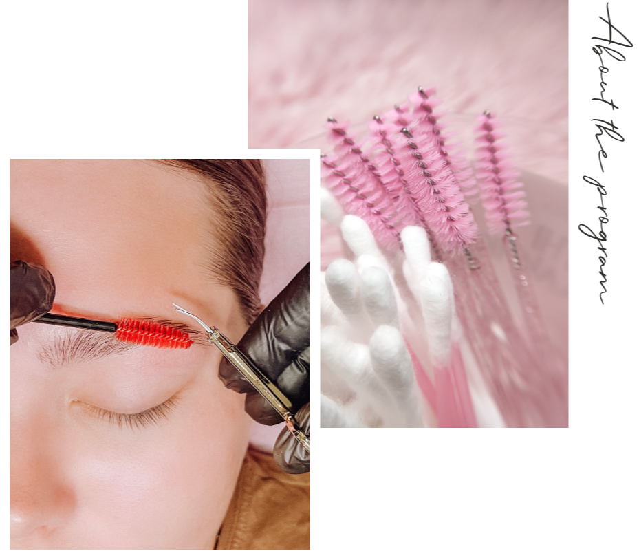 Read more on Why Every Beauty Enthusiast Should Consider Online Brow Waxing Courses
