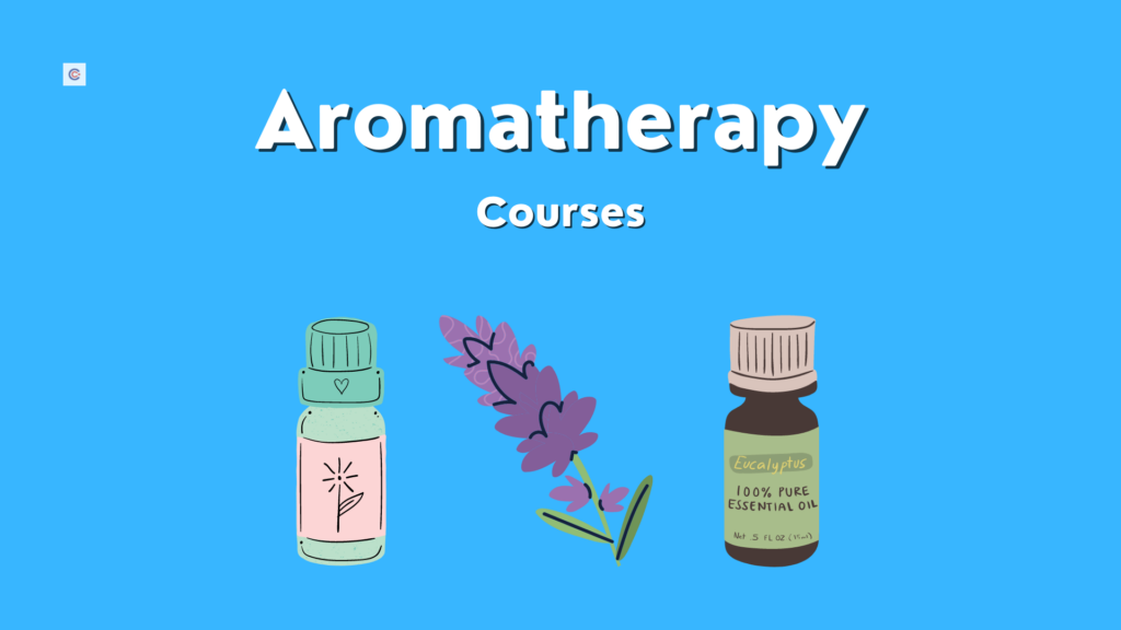 Discover The Magic Of Aromatherapy Massage: Start Learning Online